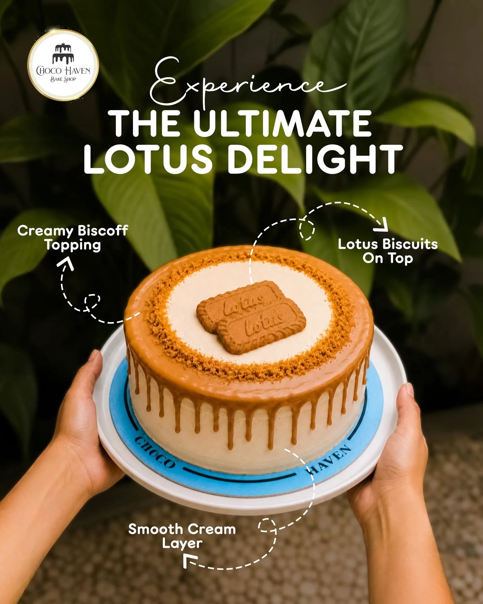 Lotus cake held in Choco Haven packaging